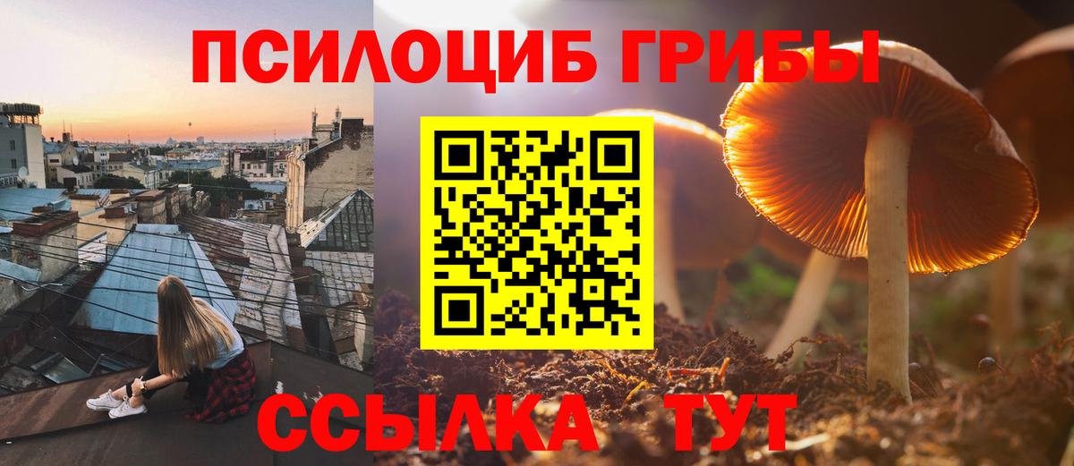 Галлюциногенные грибы ЛСД  Вход с VPN  Северодвинск 